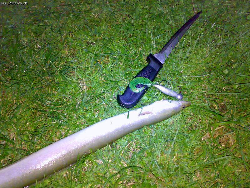 --Aal auf Twister gechakt -  ()