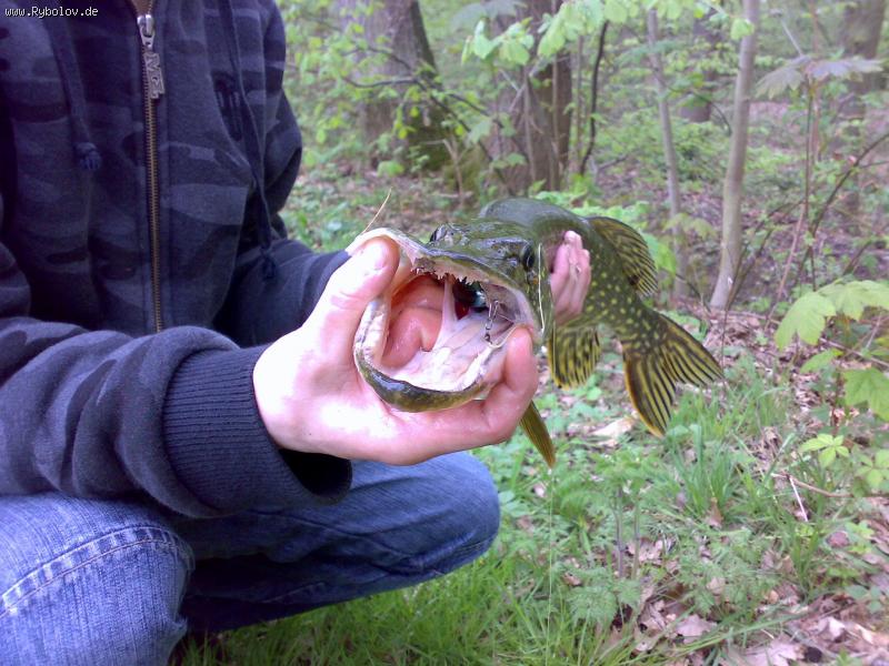 --�����! Kanal - ������� (����������)