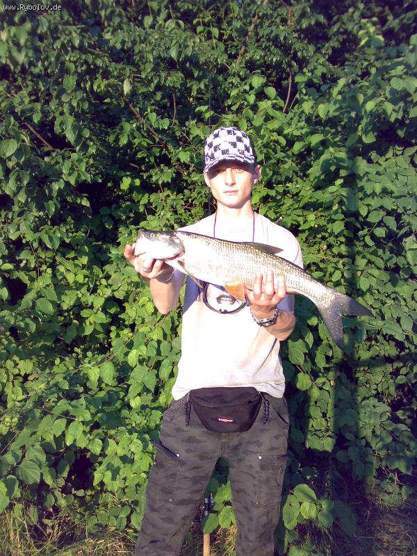 --�����! Kanal - ������� (����������)