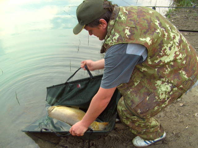 --������ 2009 - ������� (����������)