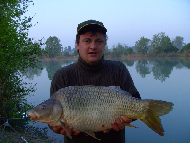 --����� - ������� (����������)