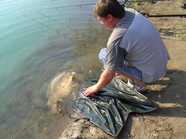 --����� - ������� (����������)