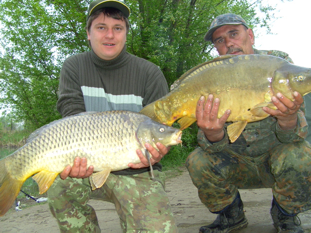 --��� 2 - ������� (����������)