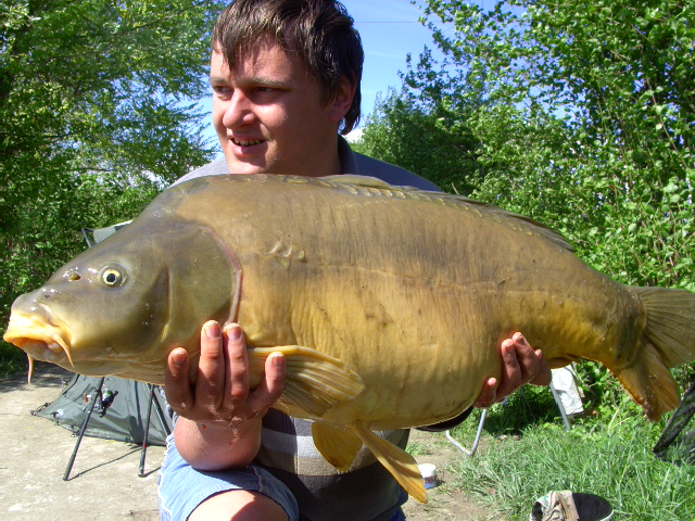 --Karp -  ()