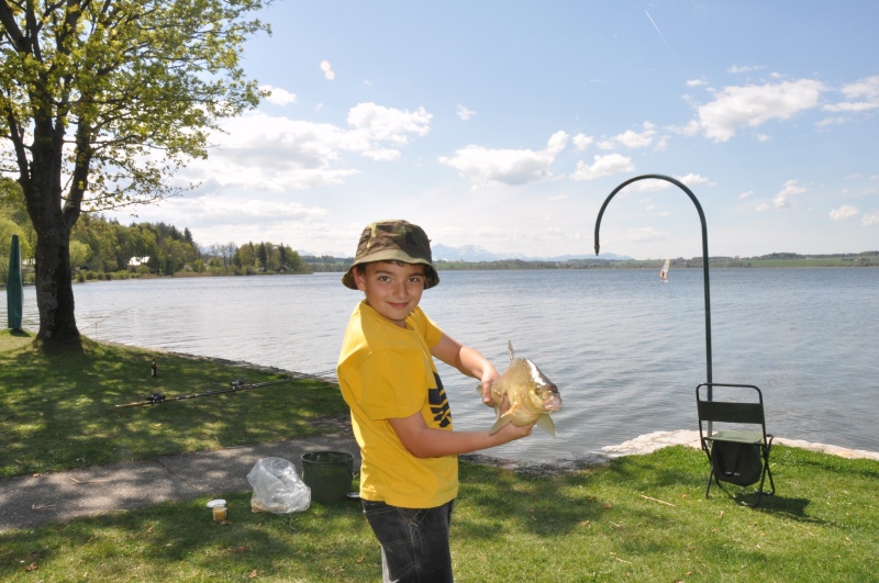 --Wallersee. Osterreich - ������� (����������)