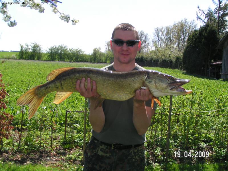 --���� - ������� (����������)