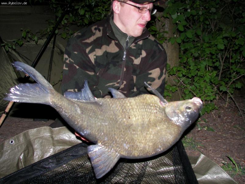 --�������-�������. - ������� (����������)