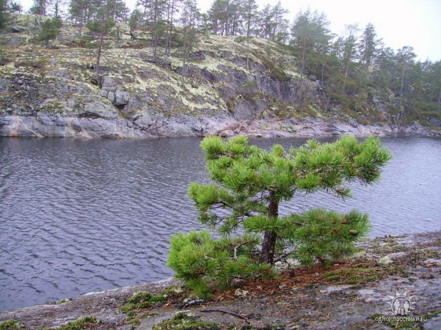 --������ - ������� (����������)