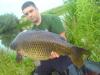 karp 5kg -  ()