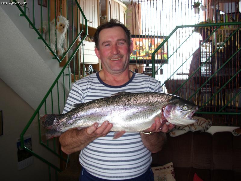 --������ - ������� (����������)