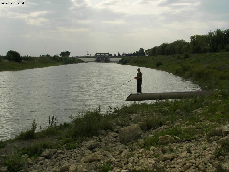 --За пол дня 18 судачков. - рыбалка (фотоальбом)