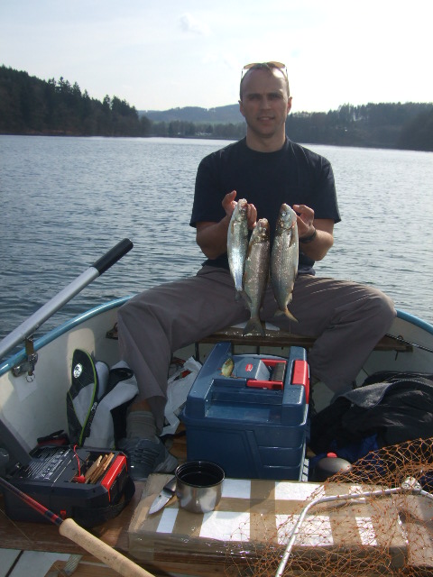 --Lowlja Renke -  ()