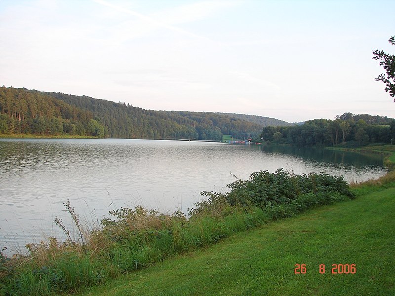 --Twistesee -  ()