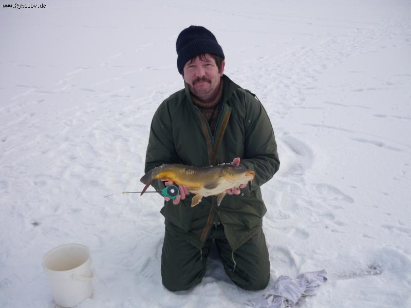 --� �����������. - ������� (����������)