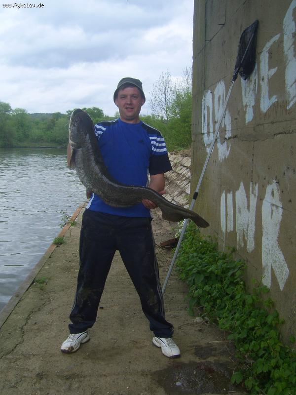 --����� 110 ��. - ������� (����������)