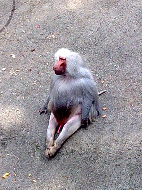 --�� ���� �� ���� - ������� (����������)