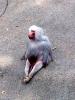 �� ���� �� ���� - ������� (����������)