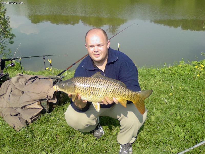 --�������� - ������� (����������)