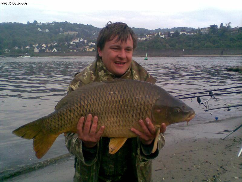 --�������� ������ 2009  �� ����� . ������ 12��. - ������� (����������)