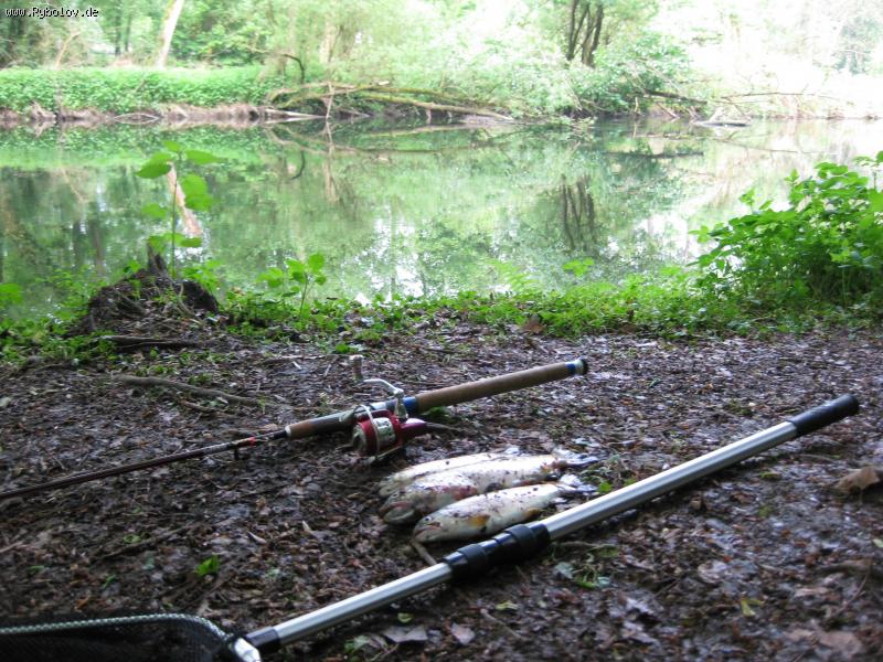 --����� �����! - ������� (����������)