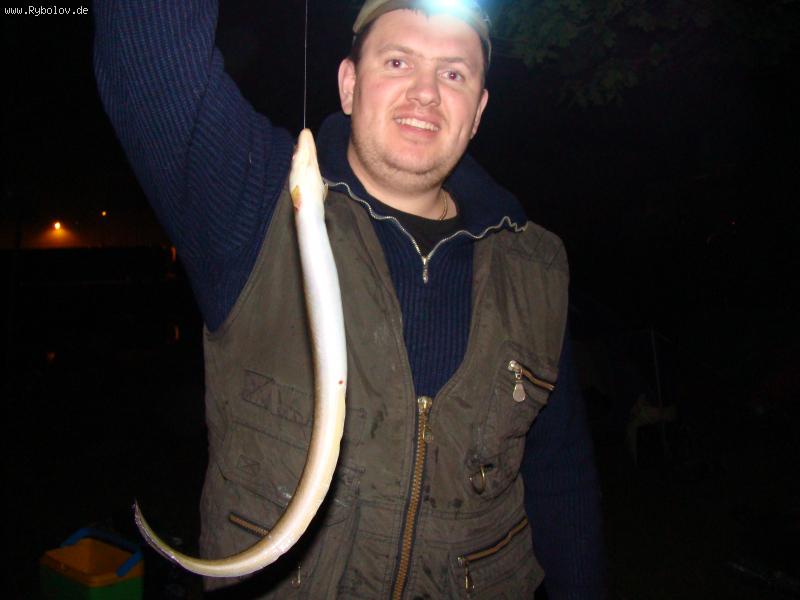 --����. - ������� (����������)