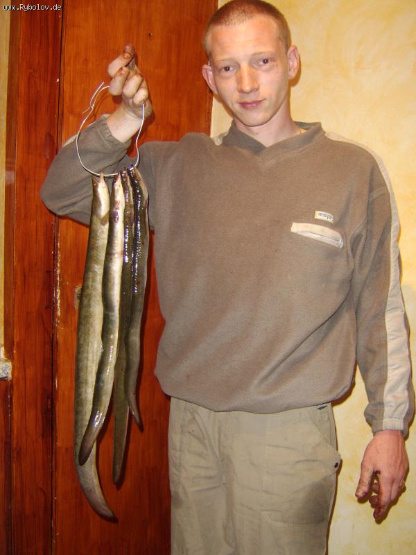 --��� ������ ������ ���� - ������� (����������)