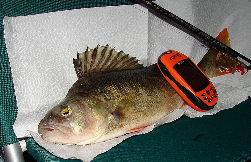 --����� (44)+GPS. - ������� (����������)