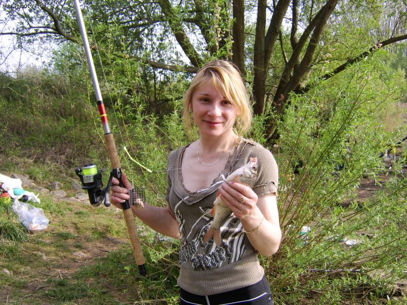 --��������� ������� ����������� - ������� (����������)