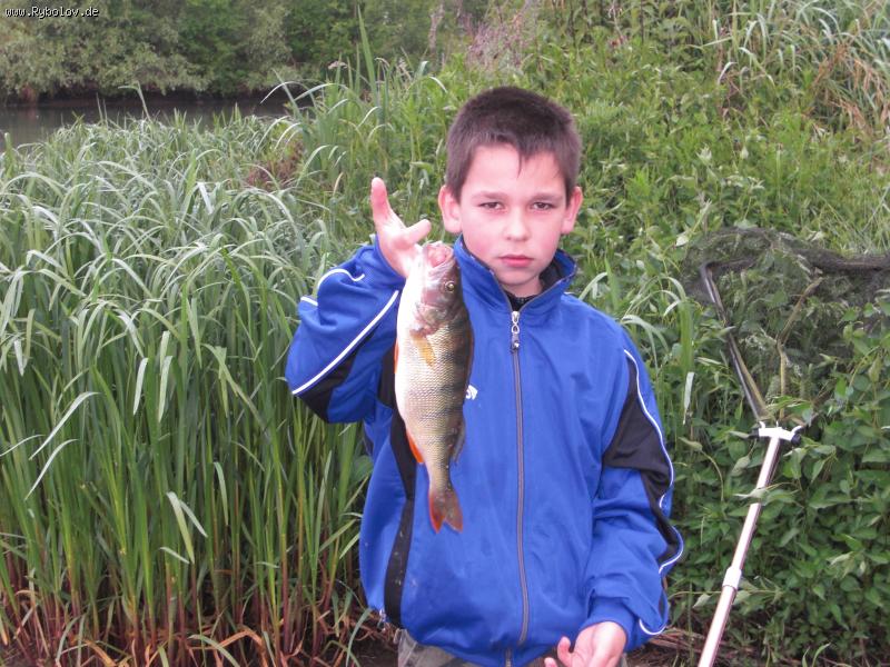 --barsch - ������� (����������)