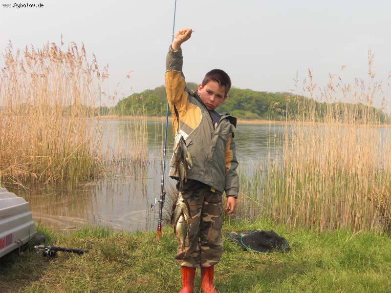 --stok see - ������� (����������)