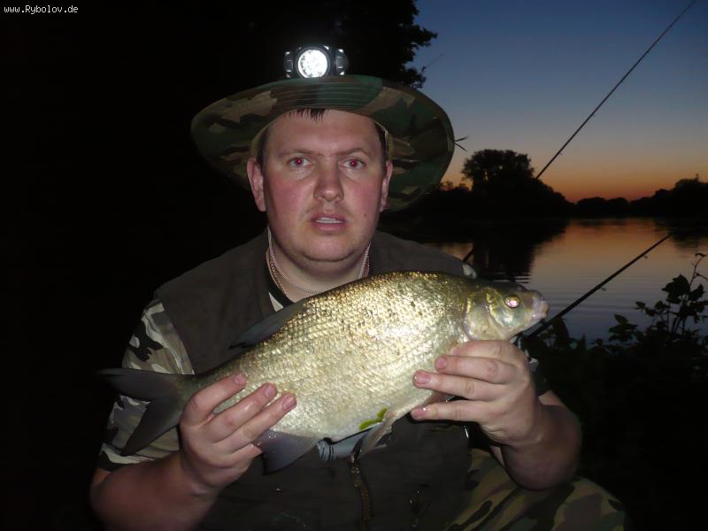 --� ����� ���.09.05.09 - ������� (����������)