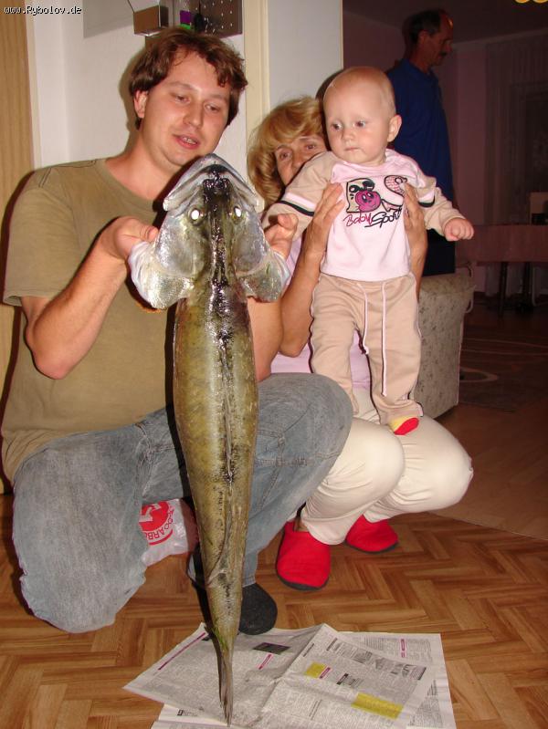 --����� = 6 ��. - ������� (����������)