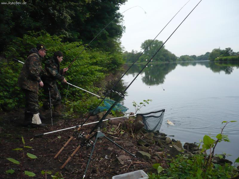 --������ �����������... - ������� (����������)