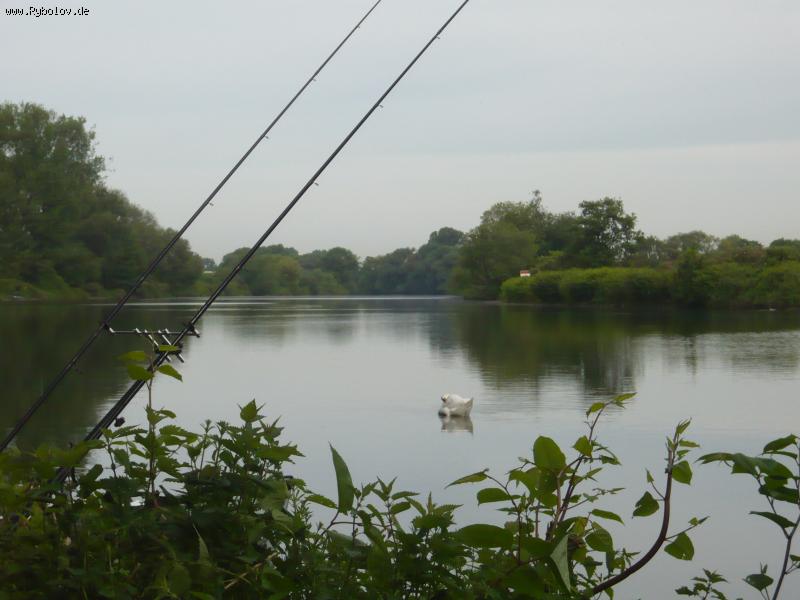 --��� �� ���� ����� - ������� (����������)