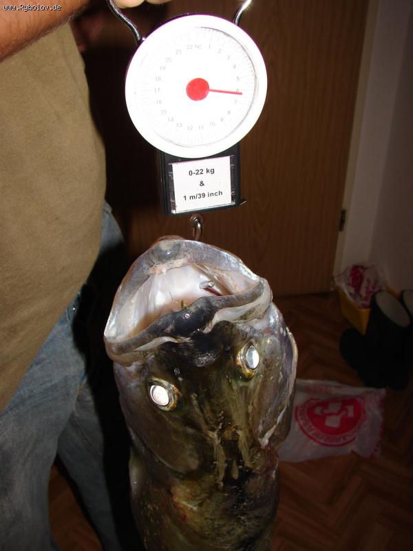 --����� ��... - ������� (����������)