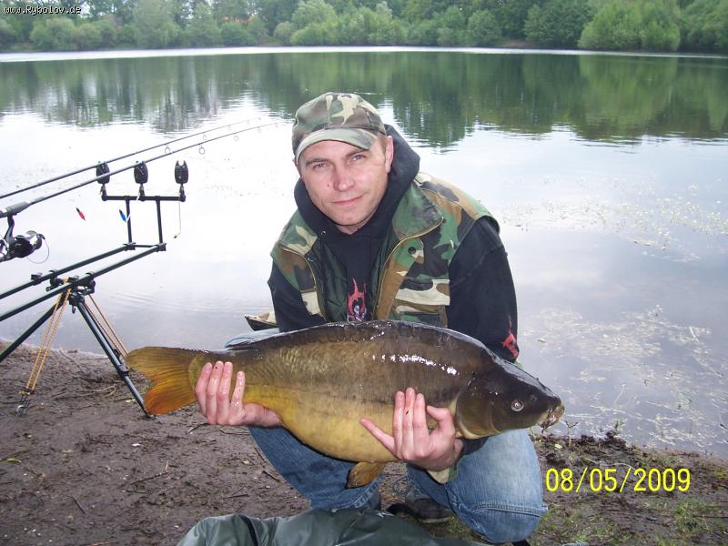 --Mo  12 (12,2 ). -  ()