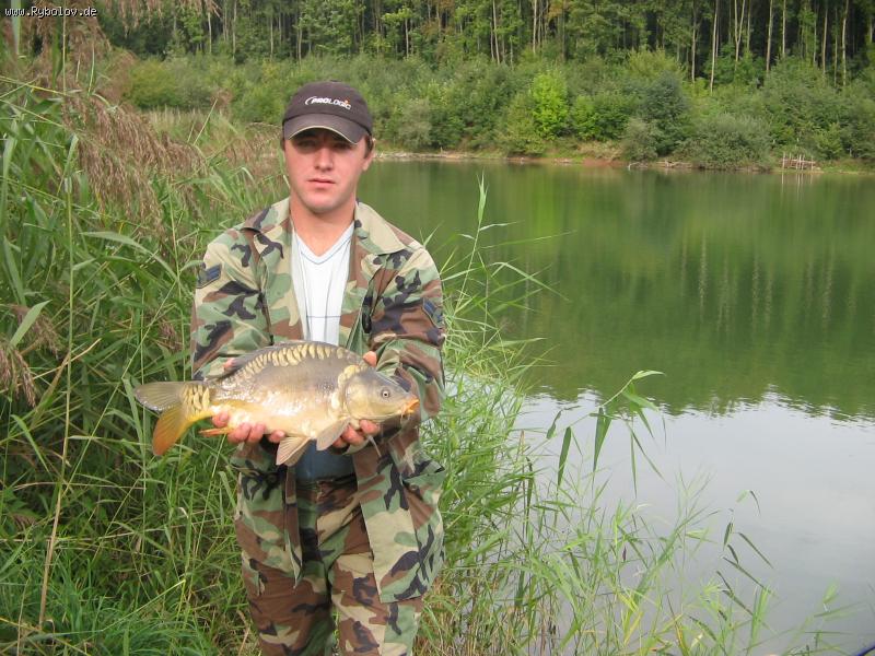 --��������� �����. - ������� (����������)