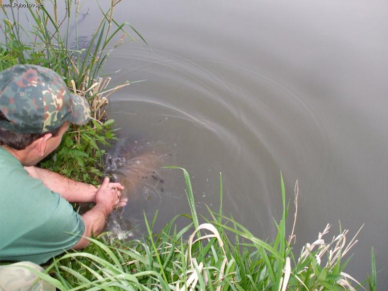 --���-�� "������", �� ��� � ������ ������... - ������� (����������)