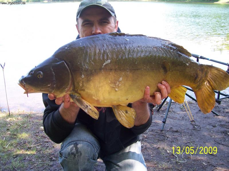 --������. - ������� (����������)