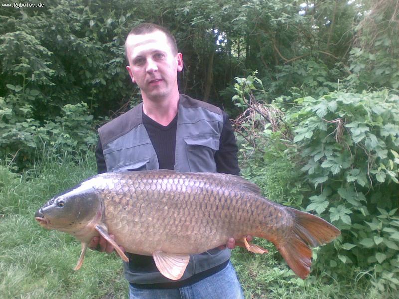 --�������� 12 ��."��� ������." - ������� (����������)