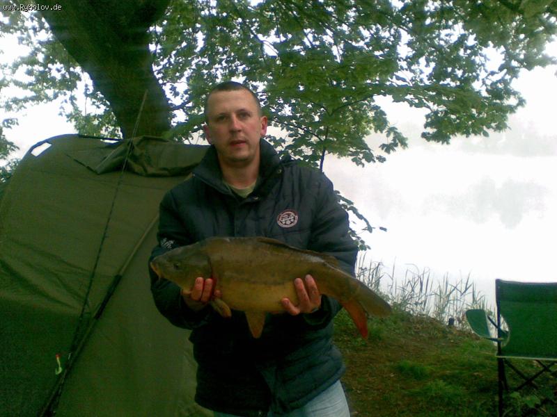 --����� ��������. - ������� (����������)