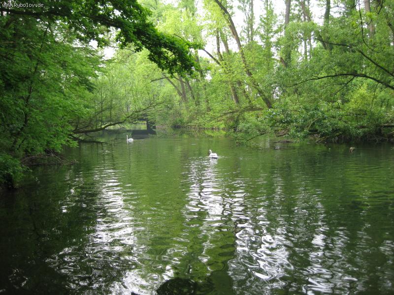 --�������� ������! - ������� (����������)