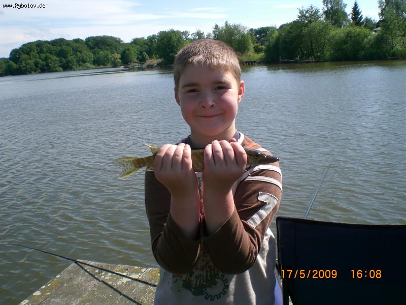 --�����. - ������� (����������)