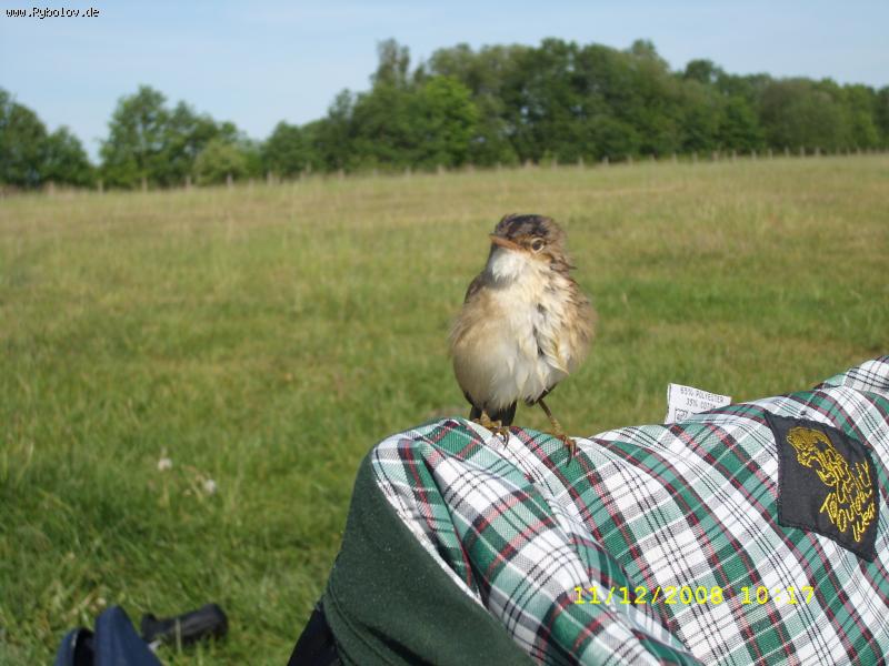 --���������� ����. - ������� (����������)