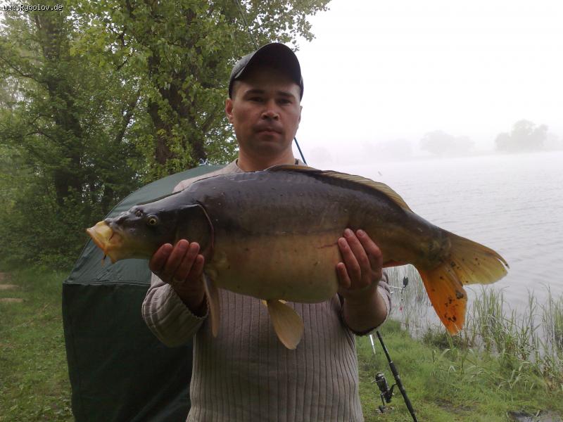 --���� - ������� (����������)