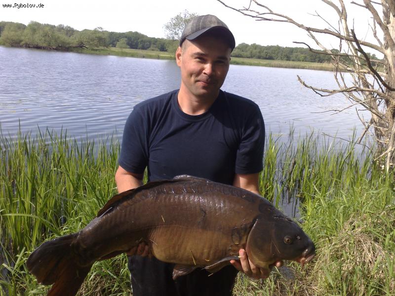 --���� - ������� (����������)