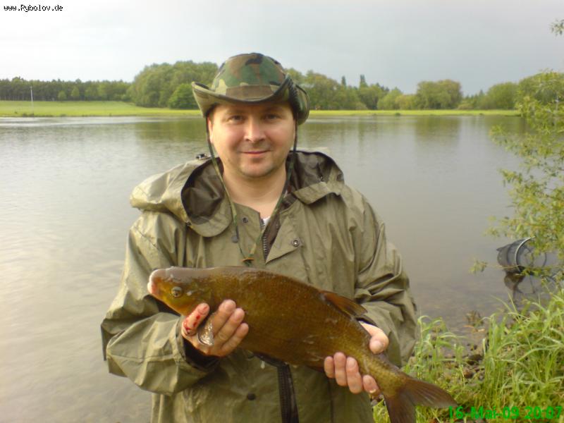 --���������! - ������� (����������)