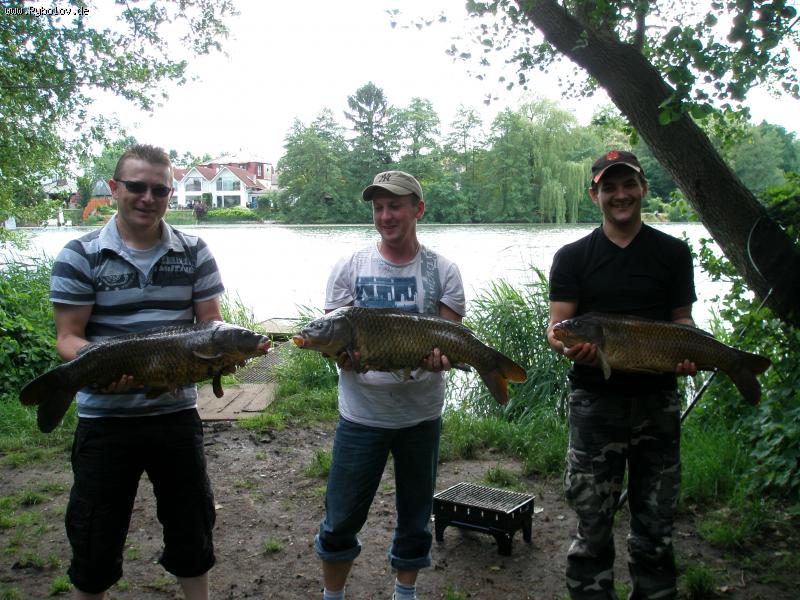 --���� - ������� (����������)