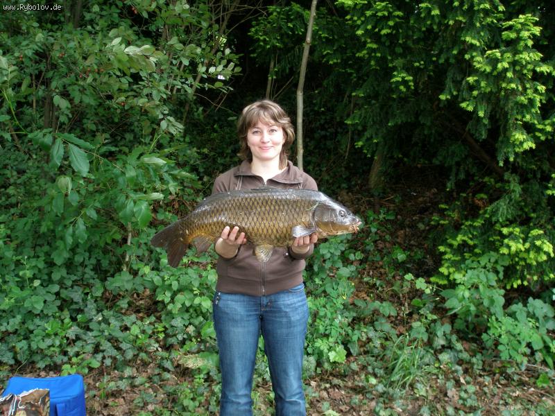 --���� - ������� (����������)