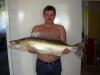 ������� - ������� (����������)